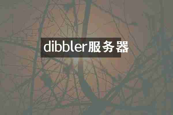 dibbler服务器