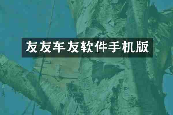 友友车友软件手机版