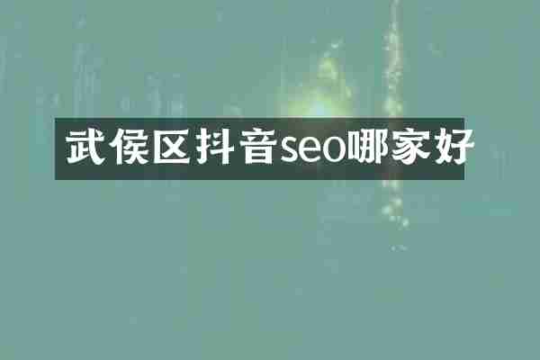 武侯区抖音seo哪家好