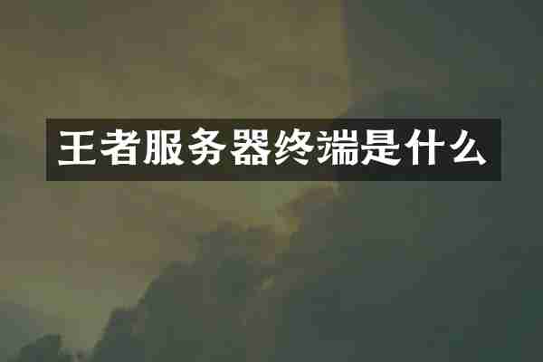 王者服务器终端是什么