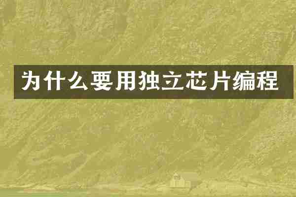 为什么要用独立芯片编程