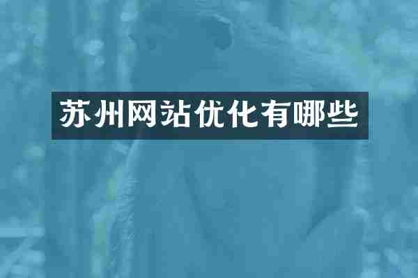 苏州网站优化有哪些