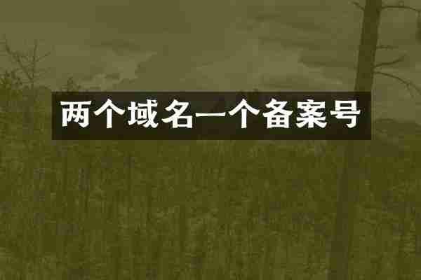 两个域名一个备案号