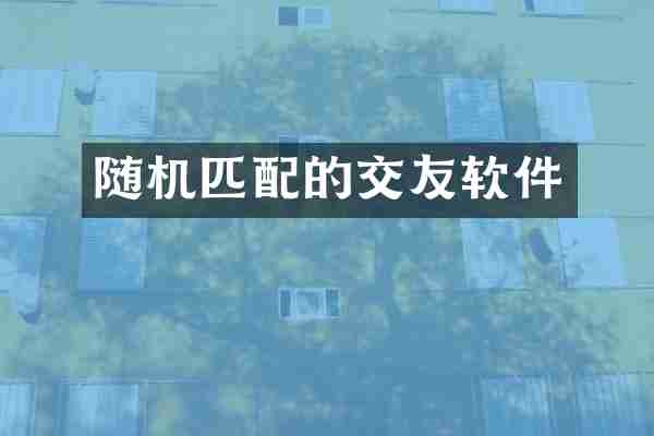 随机匹配的交友软件