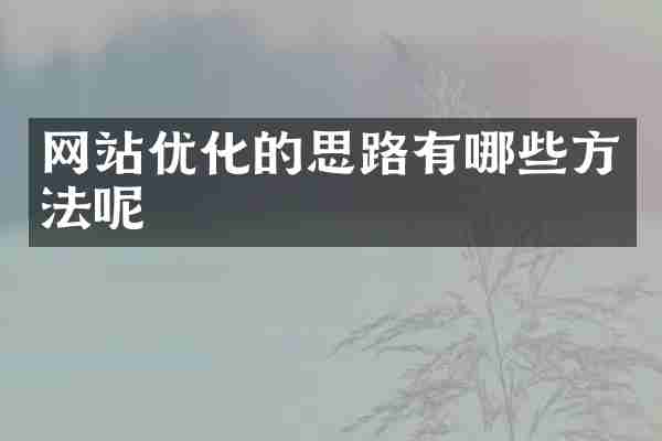 网站优化的思路有哪些方法呢