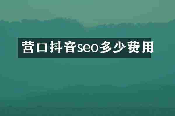 营口抖音seo多少费用