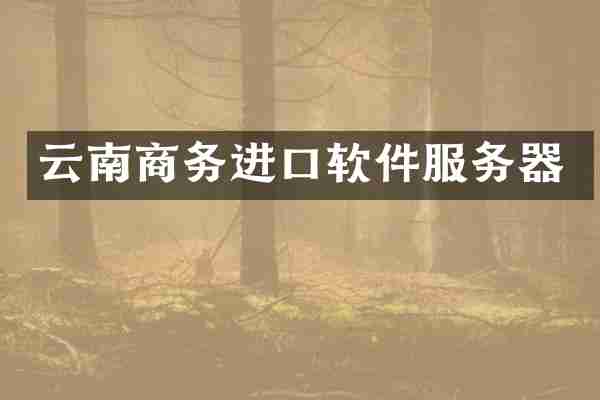云南商务进口软件服务器
