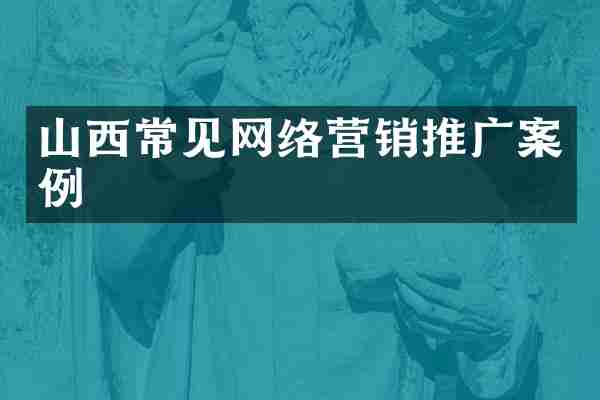 山西常见网络营销推广案例