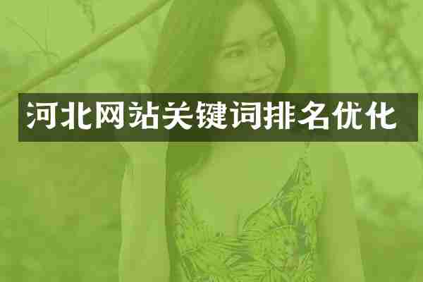 河北网站关键词排名优化