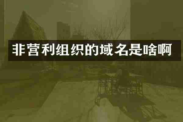 非营利组织的域名是啥啊
