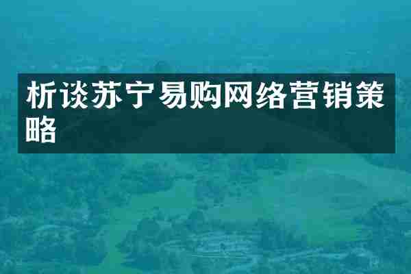 析谈苏宁易购网络营销策略