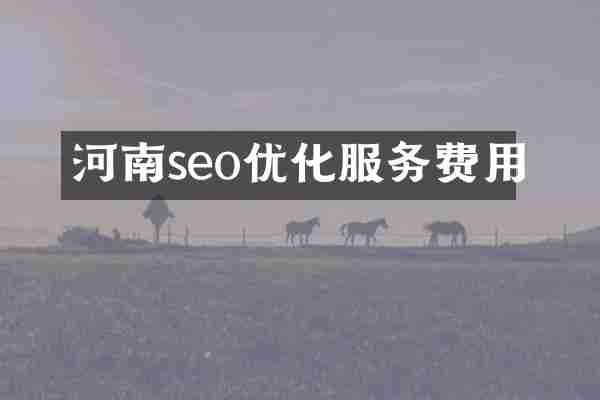 河南seo优化服务费用