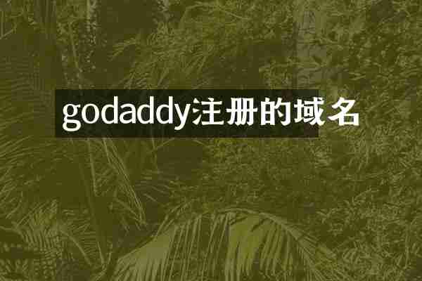 godaddy注册的域名