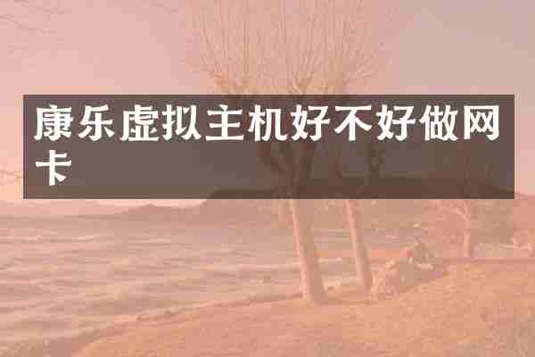 康乐虚拟主机好不好做网卡