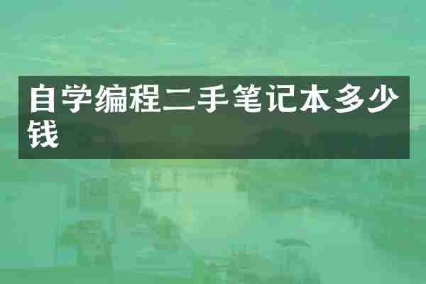 自学编程二手笔记本多少钱