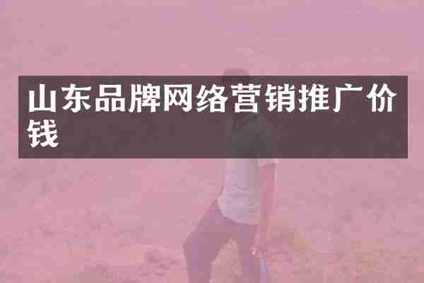 山东品牌网络营销推广价钱