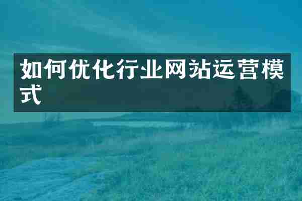 如何优化行业网站运营模式