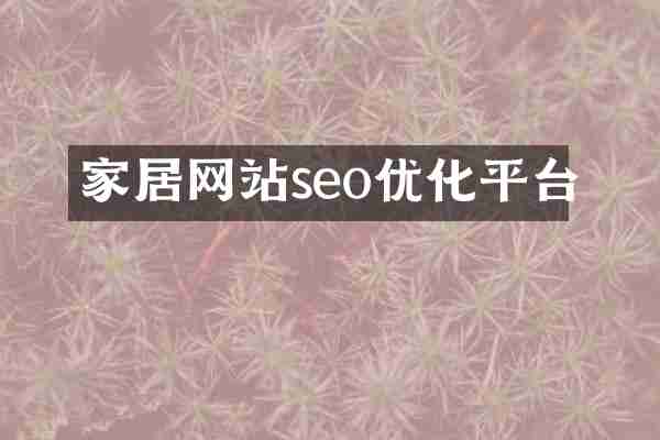 家居网站seo优化平台