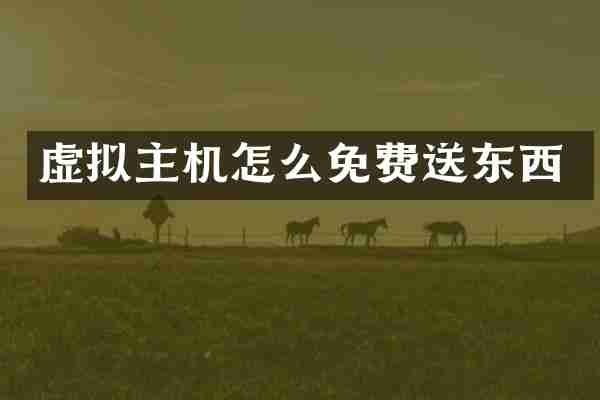 虚拟主机怎么免费送东西