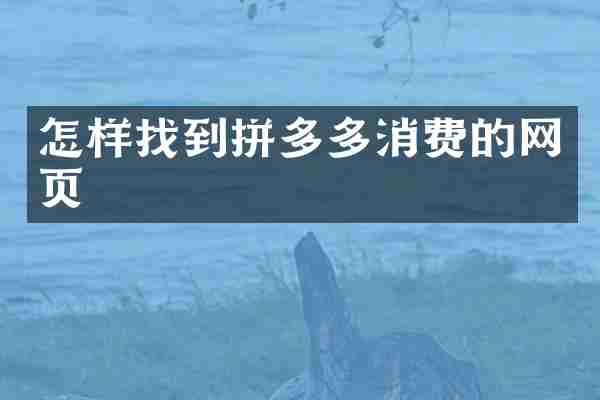 怎样找到拼多多消费的网页