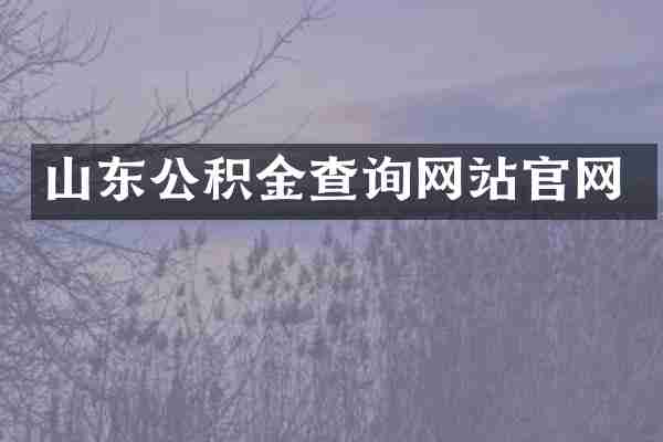 山东公积金查询网站官网