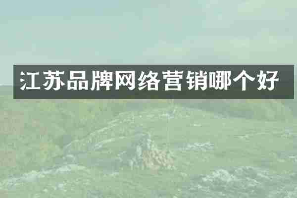 江苏品牌网络营销哪个好