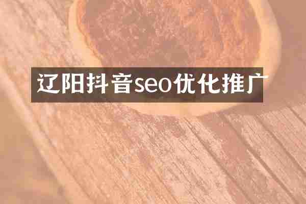 辽阳抖音seo优化推广