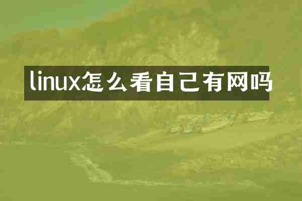 linux怎么看自己有网吗