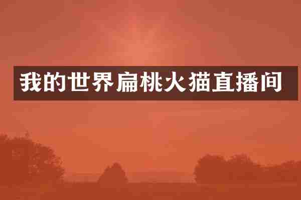 我的世界扁桃火猫直播间
