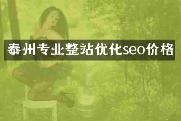 泰州专业整站优化seo价格