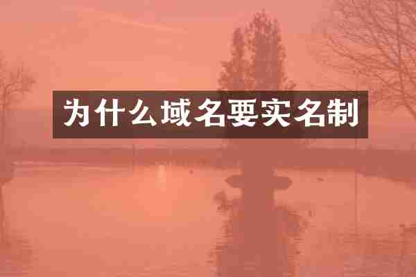 为什么域名要实名制