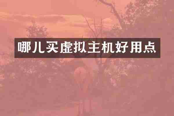哪儿买虚拟主机好用点