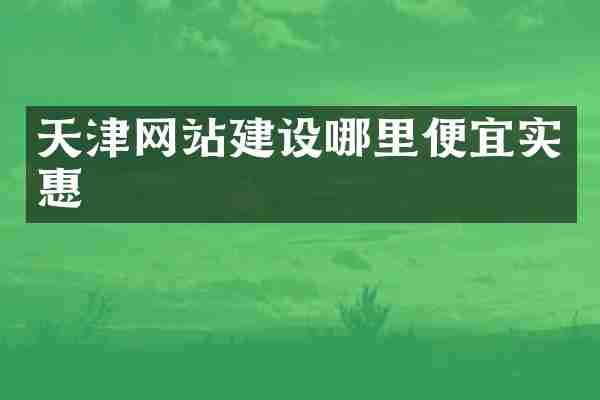 天津网站建设哪里便宜实惠