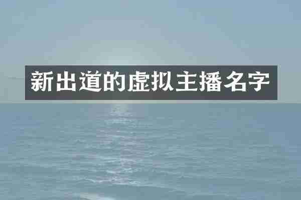 新出道的虚拟主播名字