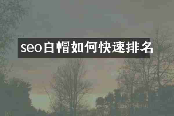 seo白帽如何快速排名