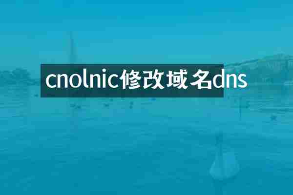 cnolnic修改域名dns