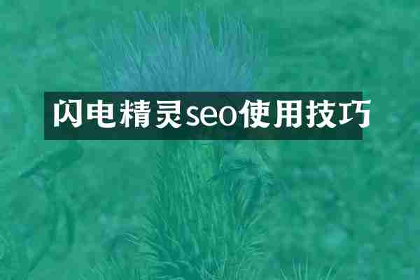 闪电精灵seo使用技巧