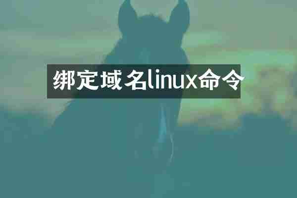 绑定域名linux命令