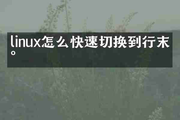 linux怎么快速切换到行末尾