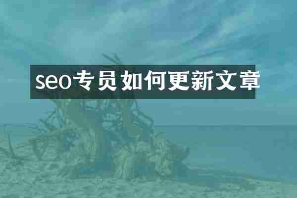 seo专员如何更新文章