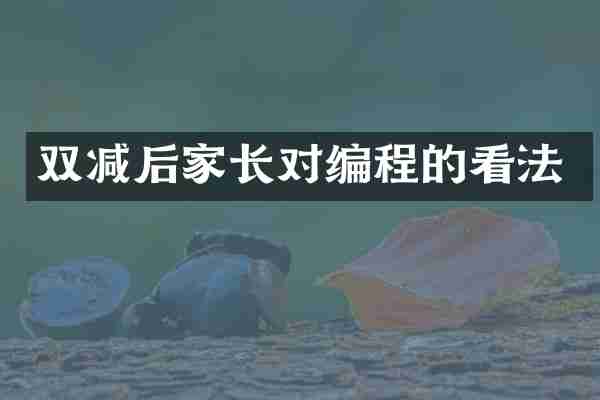 双减后家长对编程的看法