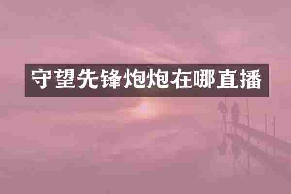 守望先锋炮炮在哪直播