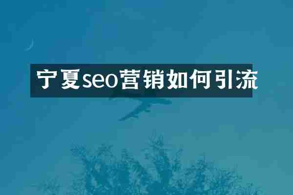 宁夏seo营销如何引流