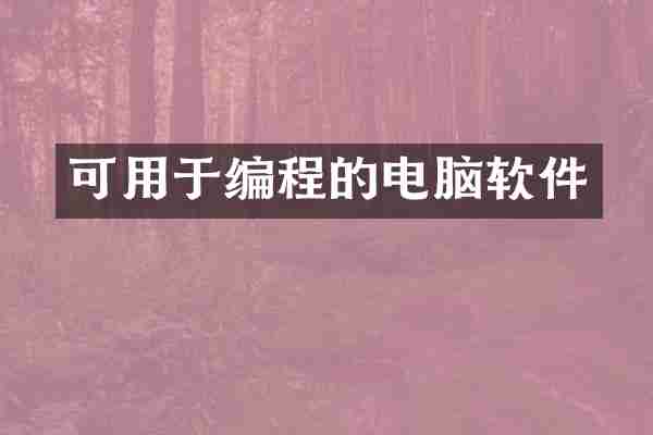 可用于编程的电脑软件