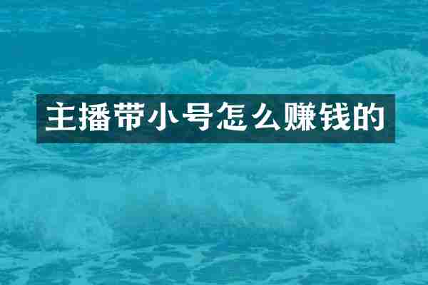 主播带小号怎么赚钱的