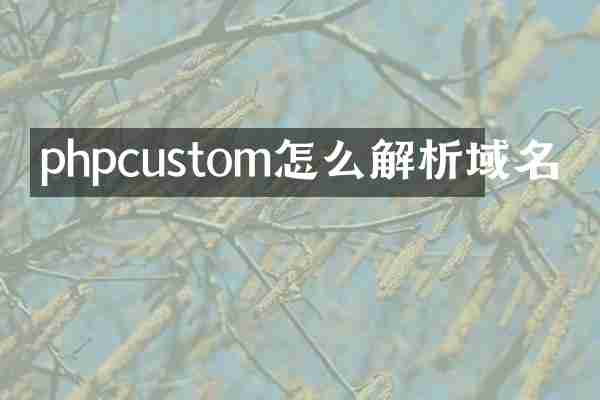 phpcustom怎么解析域名