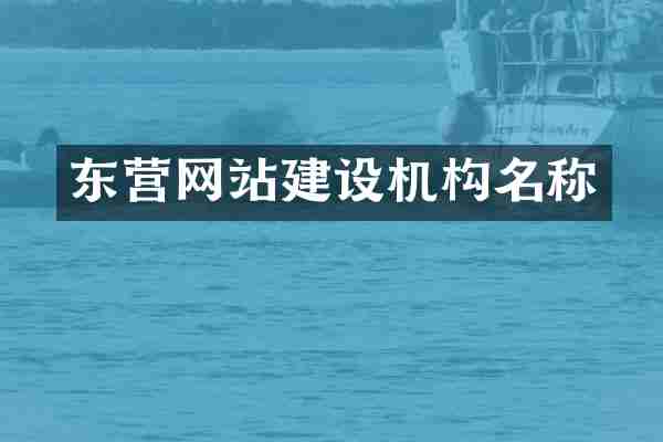 东营网站建设机构名称