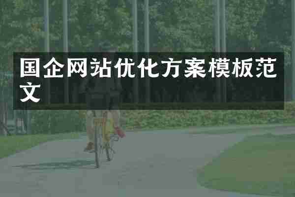 国企网站优化方案模板范文