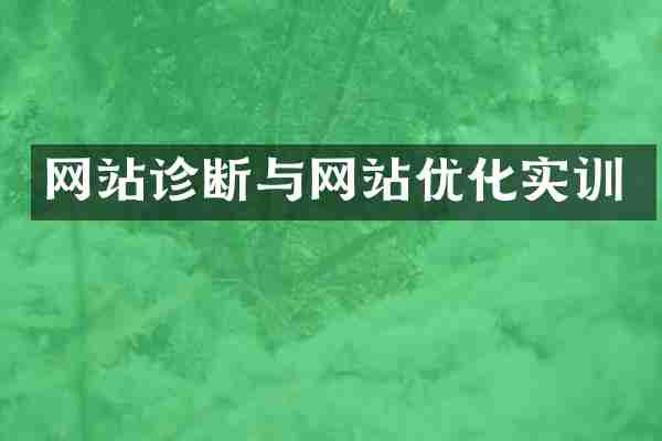 网站诊断与网站优化实训