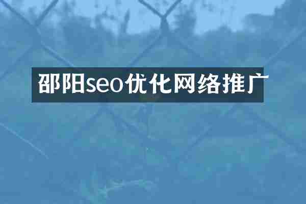 邵阳seo优化网络推广